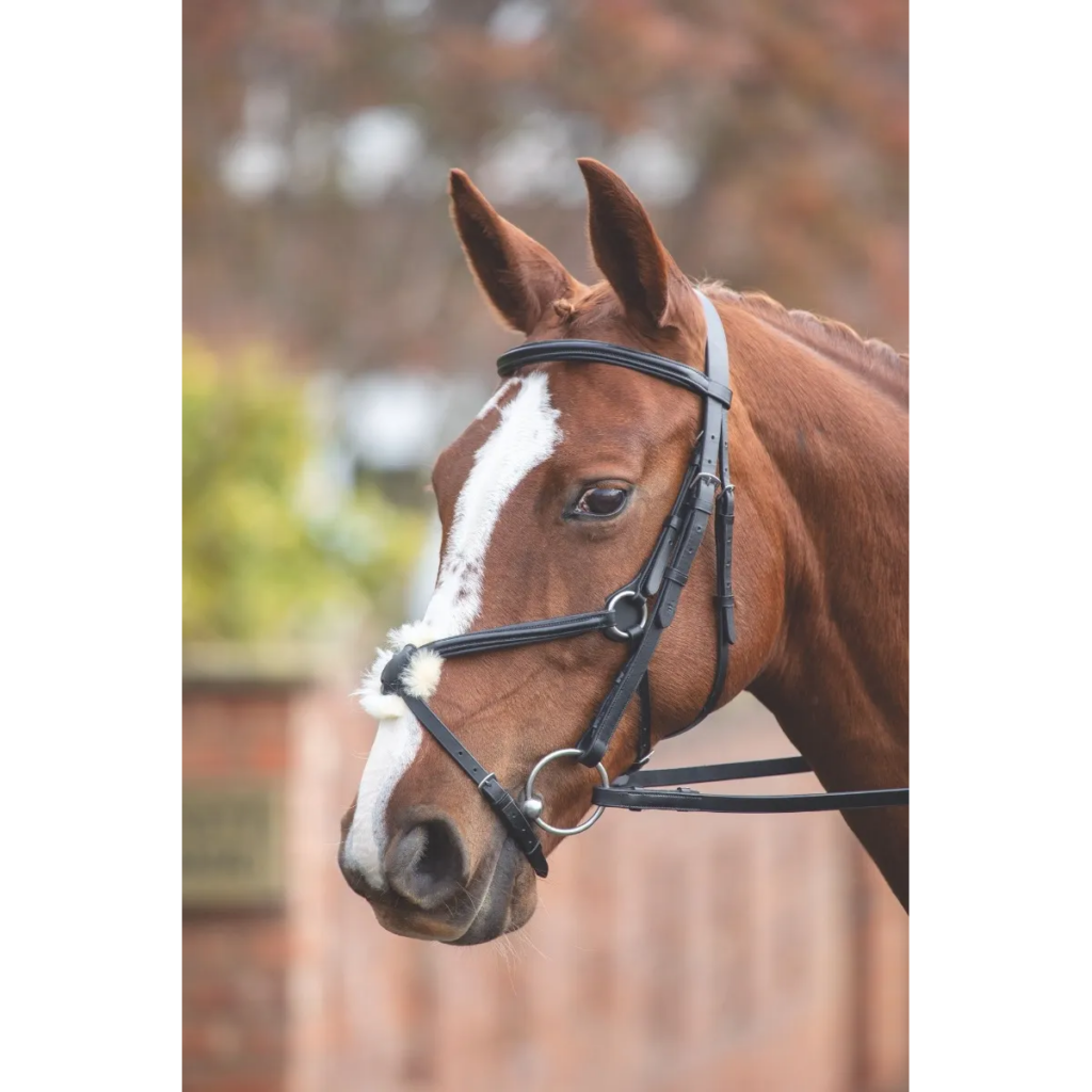 Shires Equestrian - Velociti GARA Mexican Bridle | Shedfield Equestrian